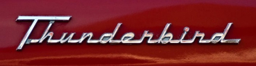 Quarter Panel Scripts for 1955-56 Ford Thunderbird - Pair