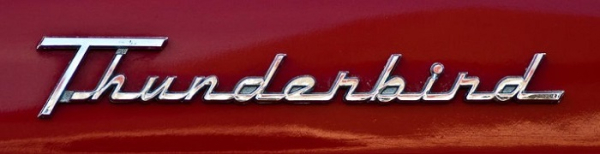 Seitenteil-Schriftzüge für 1955-56 Ford Thunderbird - Paar